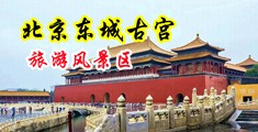 免费美女淫欲色欲视频网站中国北京-东城古宫旅游风景区